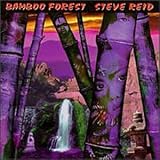 Steve Reid & Bamboo Forest -  Mysteries