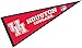Houston Pennant Full Size Felt