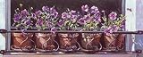 Five Window Pots - Artist: Mark Lee Goldberg - Art Print Poster Size: 20.00 by 8.00 inches