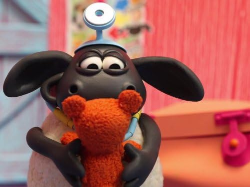 Doctor Timmy, Timmy Shapes up