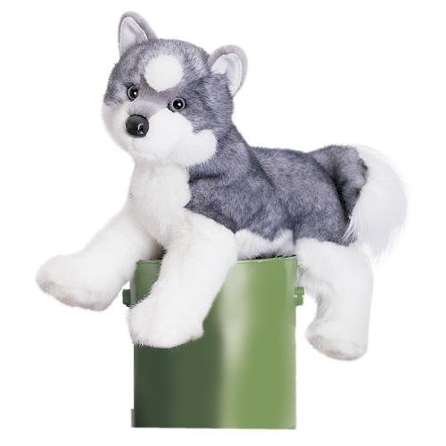 Sasha Husky