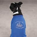 Dog Shirt - Hanukkah Royalty Princess Crown Accent Tee - XX-Small - (XXS)