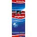 Karteikarten Grundwortschatz Englisch: 800 Karteikarten. �ber 2100 Stichw�rter. Mit Lautschrift