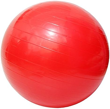 Acefit Anti-burst-and-slip Resistant Fitness Balance Exercise and Stability Ball with Pump Yoga Ball