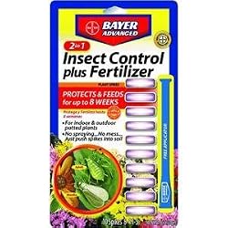 Bayer 701710A 2-in-1 Insect Control Plus Fertilizer Plant Spike