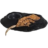 Ultimate Gecko Ledge - Magnetic Gecko Diet Feeder