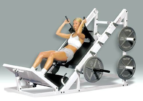 Husky Hip and Leg Sled Lower Body Gym