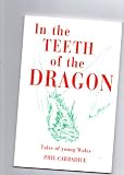 In the teeth of the dragon : tales of young Wales