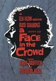 Elia Kazan Collection 4-DVD Set ( A Tree Grows in Brooklyn / Wild River / The Visitors / Panic in the Streets )