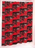DALE EARNHARDT, JR #8 NASCAR Auto Racing SHOWER CURTAIN New