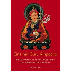 Eins mit Guru Rinpoche: Ein Kommentar zu Nuden Dorjes Terma, die Vidyadhara Guru Sadhana