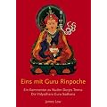 Eins mit Guru Rinpoche: Ein Kommentar zu Nuden Dorjes Terma, die Vidyadhara Guru Sadhana