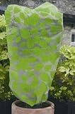 Designer Frost Protection Plant Cover – Green Leaf – Large Buy Two Get One FREE