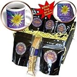 Jos Fauxtographee Realistic - A Beautiful Close up of a Yellow Flower With Purple in the Background - Coffee Gift Baskets - Coffee Gift Basket