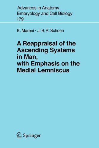 A Reappraisal of the Ascending Systems in Man, with Emphasis on the Medial Lemniscus: 179 (Advances in Anatomy, Embryology and Cell Biology)