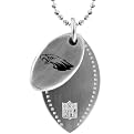 NFL Philadelphia Eagles 2 Piece Steel Sport Tag - 26"