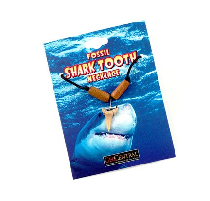 Shark Tooth Small Necklace