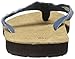 Sanuk Men's Dr. Fray Flip-Flop