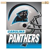 Carolina Panthers 27x37 Vertical Flag