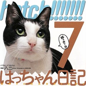 hatch!!!!!!!―はっちゃん日記〈7〉
