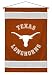 Texas Longhorns Sideline Wall Hanging (29x45) NCAA