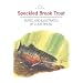 The Speckled Brook Trout