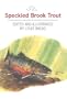 The Speckled Brook Trout