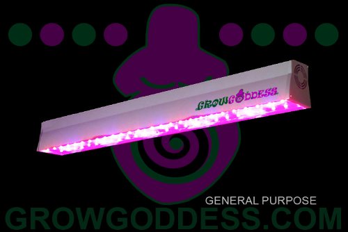 LED Grow Light: Grow Goddess 600 General Purpose 