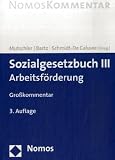 Sozialgesetzbuch III. Arbeitsförderung - SGB: Arbeitsförderung - Großkommentar