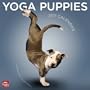 Yoga Puppies 2011 Square 12X12 Wall Calendar (Multilingual Edition)
