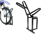 T-Motorsports