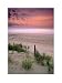 Sunrise, Folly Beach, South Carolina Photography Art Poster Print, 24x31
