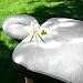 Repose  Fleece Pad Set for Massage Tables