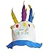 Felt Birthday Cake With Candles Hat - Hilarious Felt Birthday Cake With Candles Hat