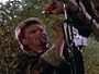 Bushmaster