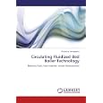 Circulating Fluidized Bed Boiler Technology: Biomass fuels, heat transfer, model development'