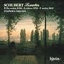 Schubert: Piano Sonatas