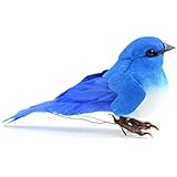 Touch of Nature 1-Piece Mushroom/Feather Mountain Bluebird on Wire for Arts and Crafts, 3.5-Inch, Blue