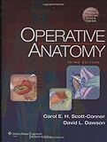 Operative anatomy