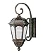 Savoy House Birchwood Wall Mount Lantern
