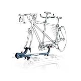 Yakima Sidewinder Tandem Bike Mount