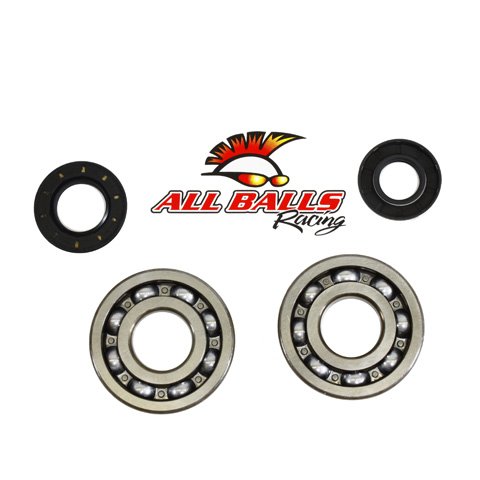 All Balls Crank Bearing and Seal Kit 24-1010