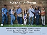 Diversity Habits Poster Series - Laminated.