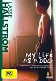 My Life as a Dog (AUS) ( Mitt liv som hund )