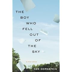 The Boy Who Fell Out of the Sky: A True Story