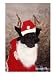 Black Dog Dressed Up As Santa Claus Photographic Print by Jeff Dunn, 18" x 24"