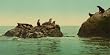 San Francisco's Seal Rocks, ca. 1901 - Exceptional Print of a Vintage Photochrom Image from the Library of Congress Collection