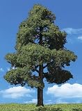 Classic Trees, Sun Kissed 3-4" (3)