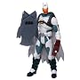 Batman (Mattel) Batman (Arctic Shield) Series 2 Action Figure