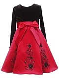 Rare Editions Toddler Girls Velvet Dress With Satin Waistband